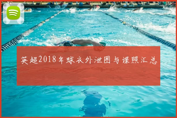 英超2018年球衣外泄图与谍照汇总