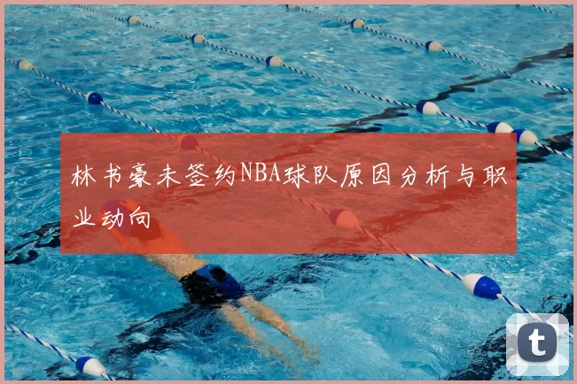 林书豪未签约NBA球队原因分析与职业动向