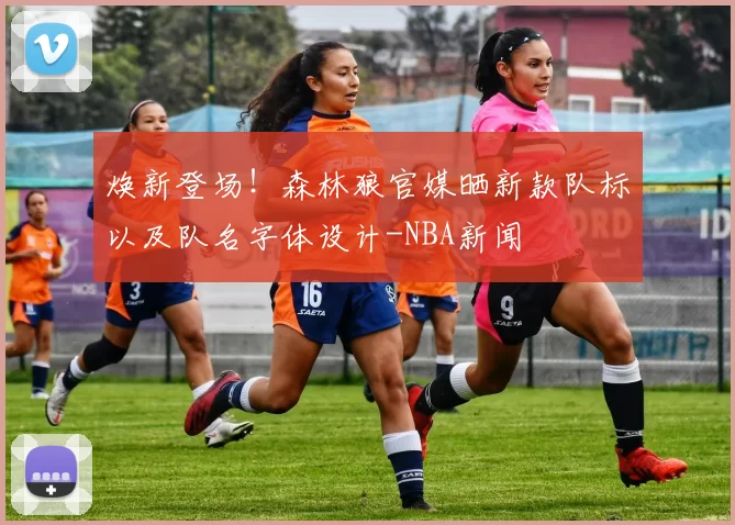 焕新登场!森林狼官媒晒新款队标以及队名字体设计-NBA新闻