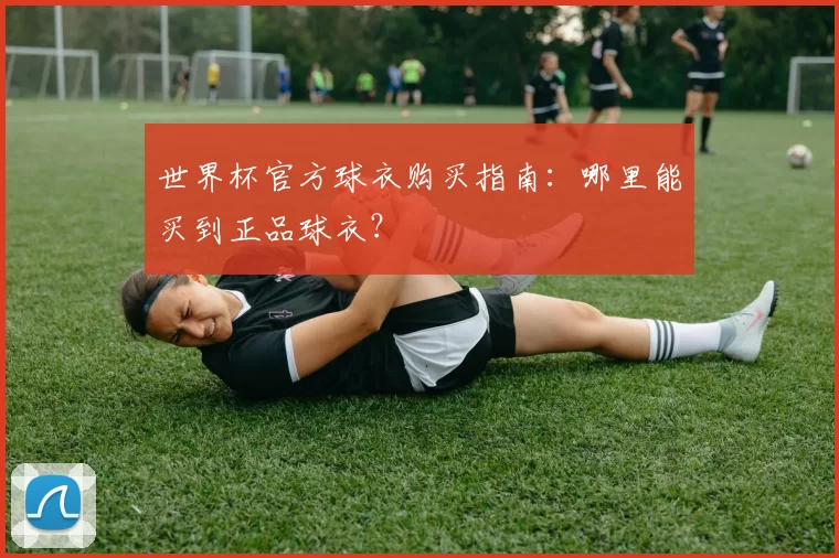世界杯官方球衣购买指南:哪里能买到正品球衣?