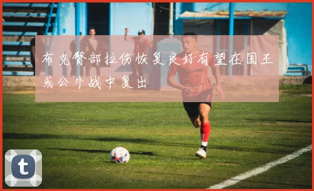 布克臀部拉伤恢复良好有望在国王或公牛战中复出