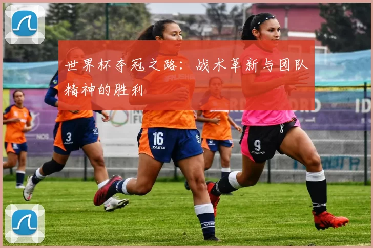 世界杯夺冠之路：战术革新与团队精神的胜利