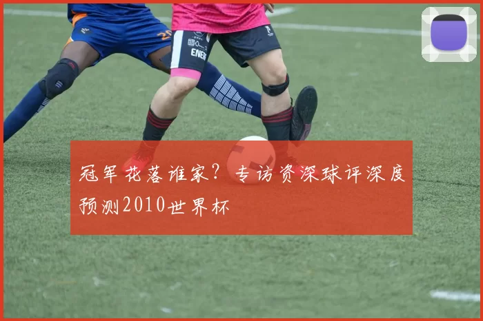 冠军花落谁家?专访资深球评深度预测2010世界杯