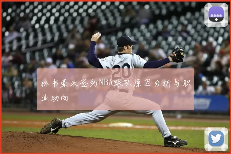 林书豪未签约NBA球队原因分析与职业动向