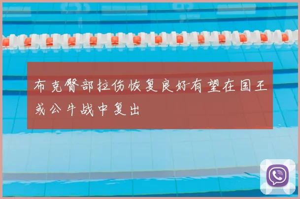 布克臀部拉伤恢复良好有望在国王或公牛战中复出
