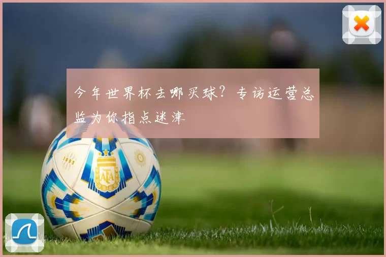 今年世界杯去哪买球?专访运营总监为你指点迷津