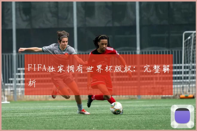 FIFA独家拥有世界杯版权:完整解析