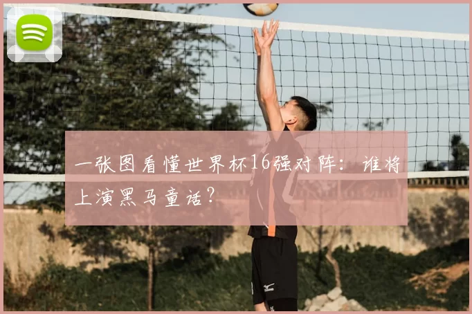 一张图看懂世界杯16强对阵：谁将上演黑马童话？
