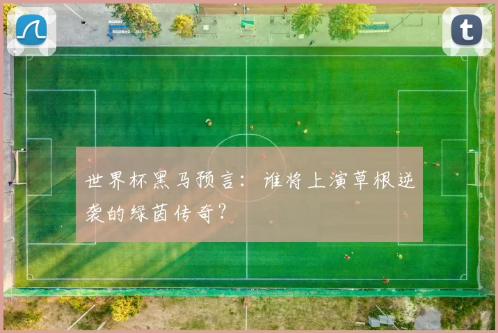 世界杯黑马预言:谁将上演草根逆袭的绿茵传奇?