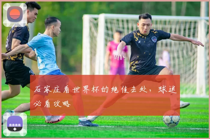 石家庄看世界杯的绝佳去处，球迷必看攻略