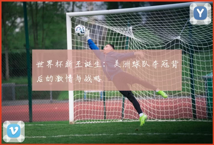 世界杯新王诞生:美洲球队夺冠背后的激情与战略