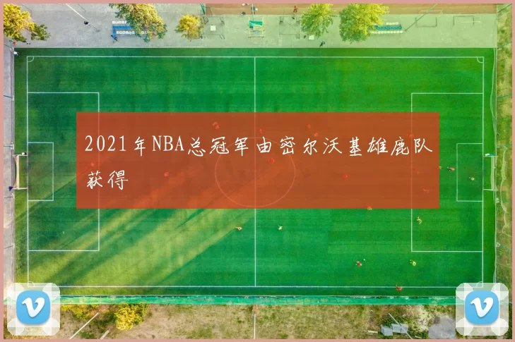 2021年NBA总冠军由密尔沃基雄鹿队获得