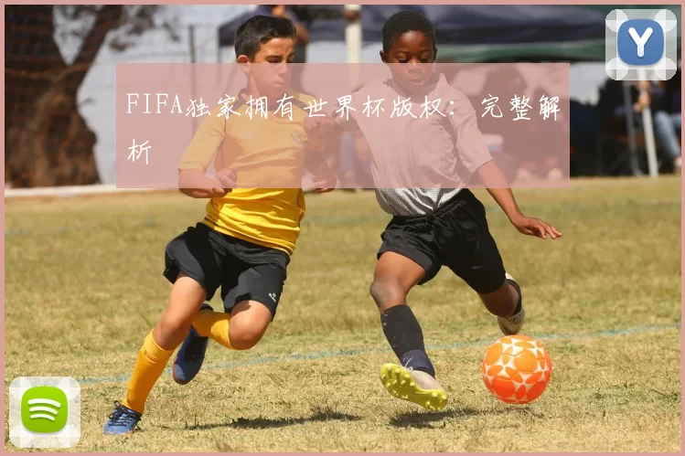 FIFA独家拥有世界杯版权：完整解析