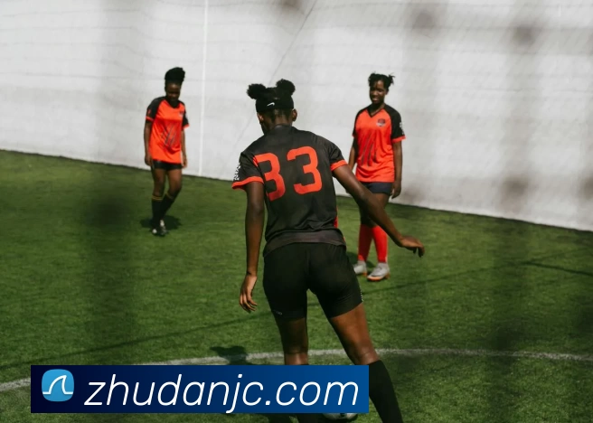 球盟会平台生态图